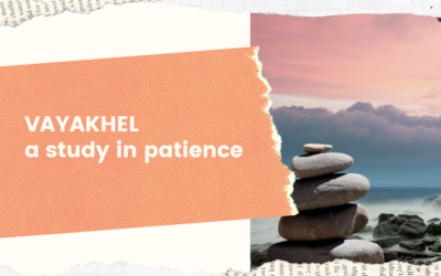 Vayakhel: A Study in Patience